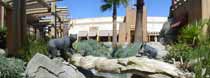 Viejas  Outlet