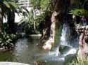Flamingo Hotel