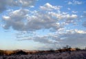 Arizona