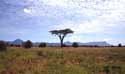 Kenyan game reserve