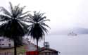 Golden Odyssey from Nosy Be