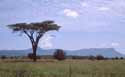 Kenyan game reserve
