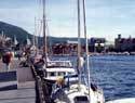 Bergen harbor